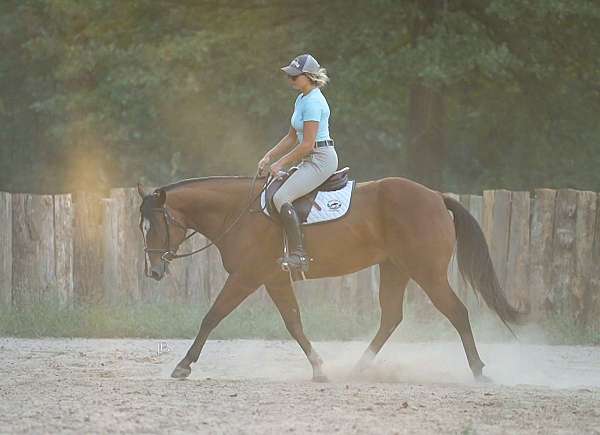 ridden-western-quarter-horse