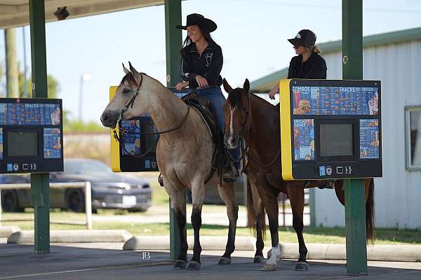 trail-riding-quarter-horse