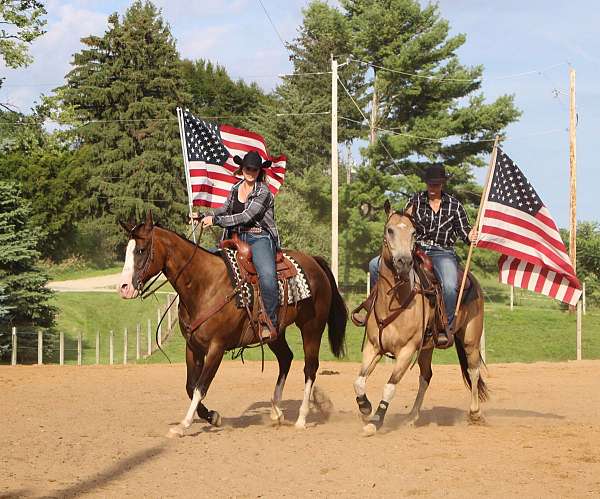 athletic-paint-horse