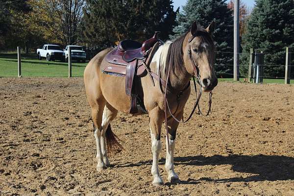 drill-team-paint-horse