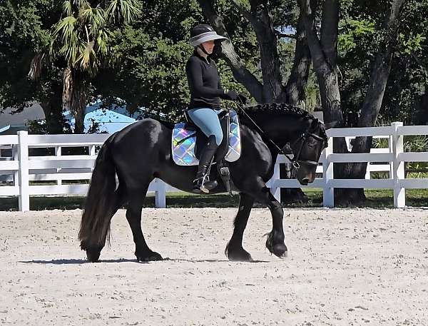 kid-safe-fell-pony