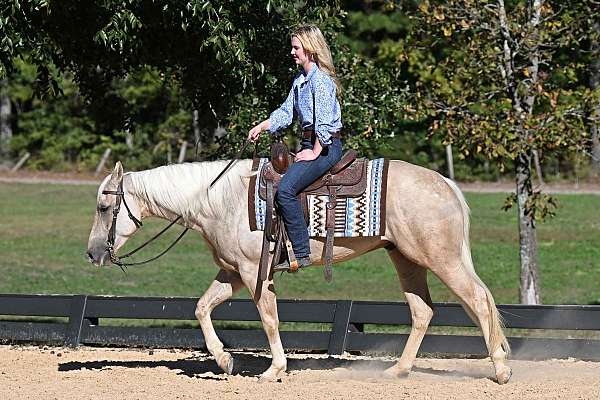 palomino-quarter-horse
