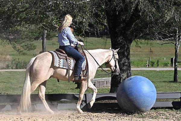 flashy-quarter-horse