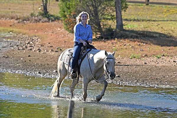 gelding-quarter-horse