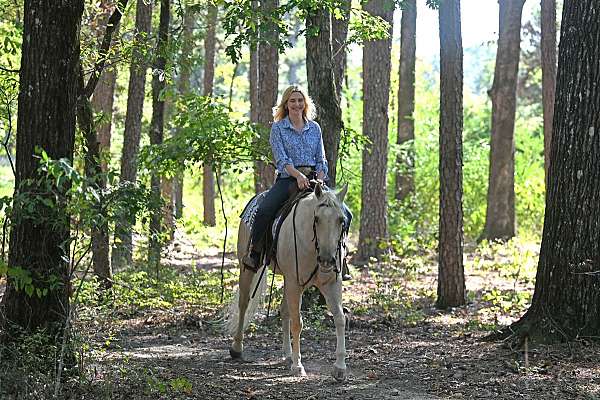 bombproof-quarter-horse