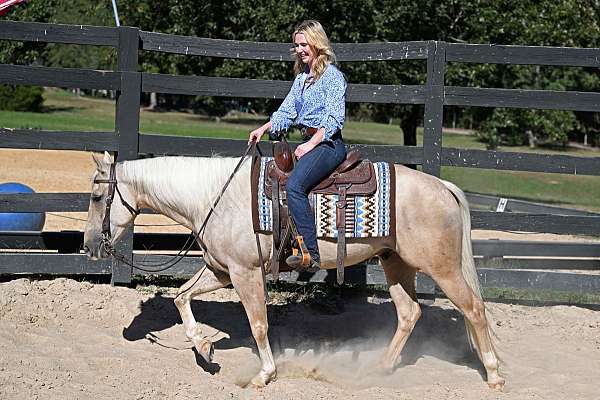 western-quarter-horse