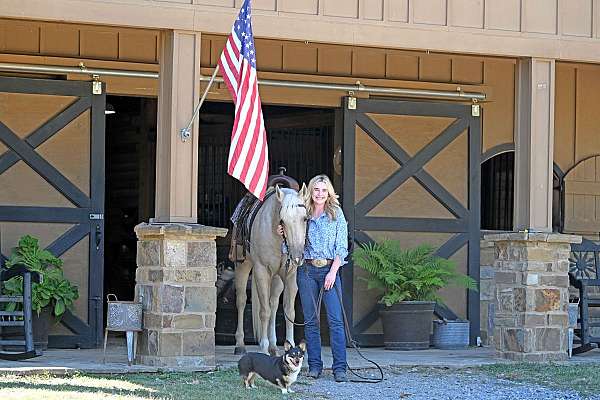 athletic-quarter-horse