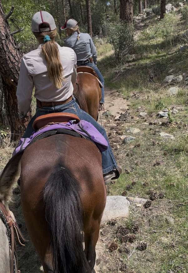 kid-safe-mustang-horse