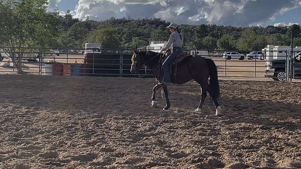 started-under-saddle-mustang-horse