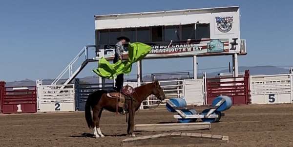 sorrel-socks-horse