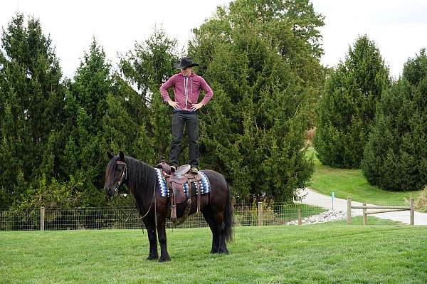 kid-safe-fell-pony