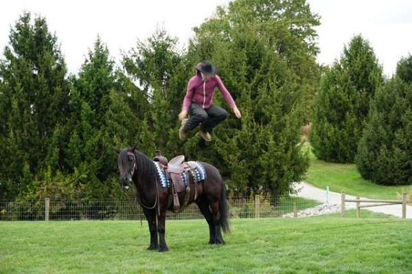 black-beginner-pony