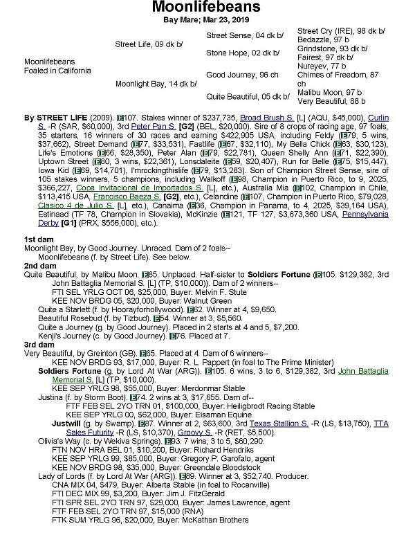 breeding-thoroughbred-horse