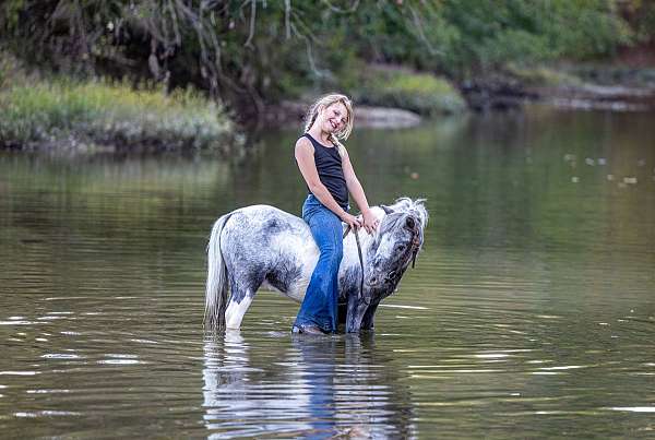 action-pony