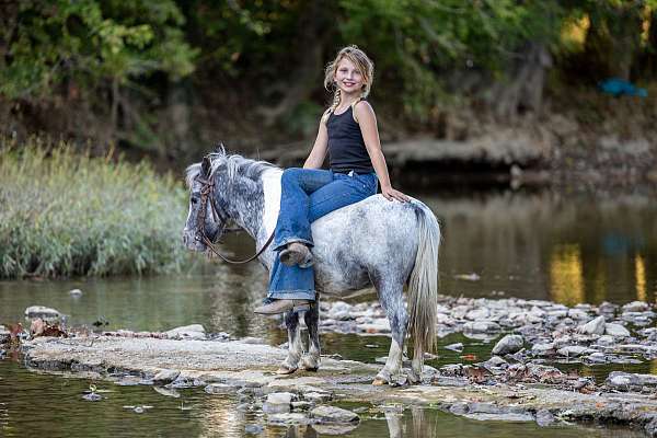 rides-like-a-big-pony