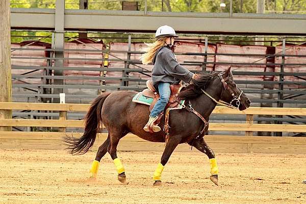 beginner-pony
