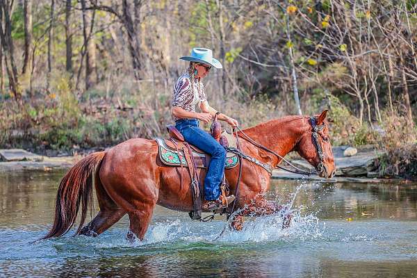 athletic-quarter-horse
