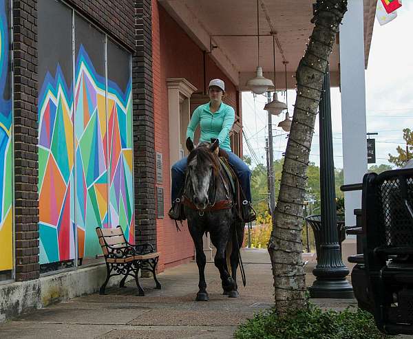 ranch-work-quarter-horse