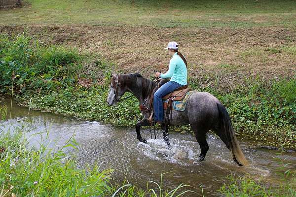 flashy-quarter-horse