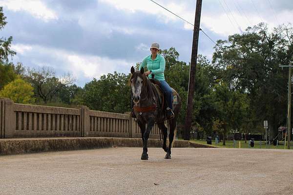 kid-safe-quarter-horse