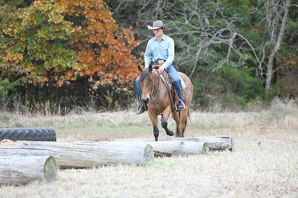 flashy-quarter-horse