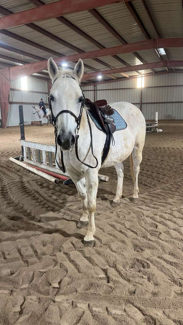 kid-safe-pony