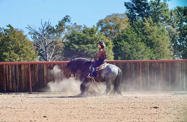 parade-gypsy-vanner-horse