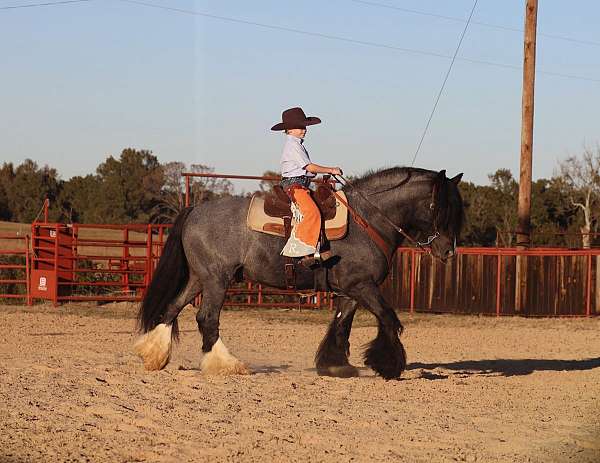 ranch-work-gypsy-vanner-horse