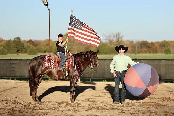 ranch-work-quarter-horse
