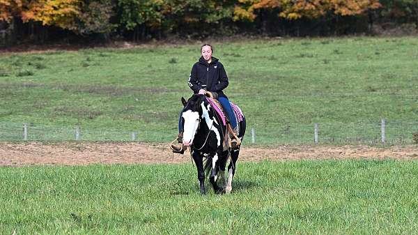 gelding-draft-horse
