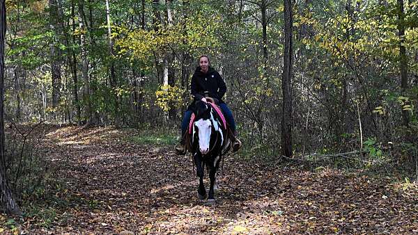 trail-horse-draft