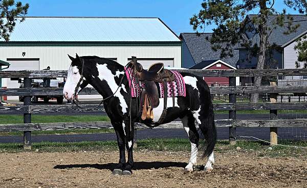 husband-safe-draft-horse