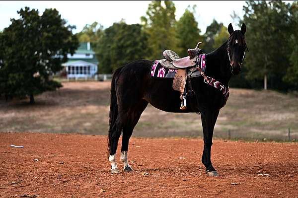 barrel-racing-thoroughbred-horse