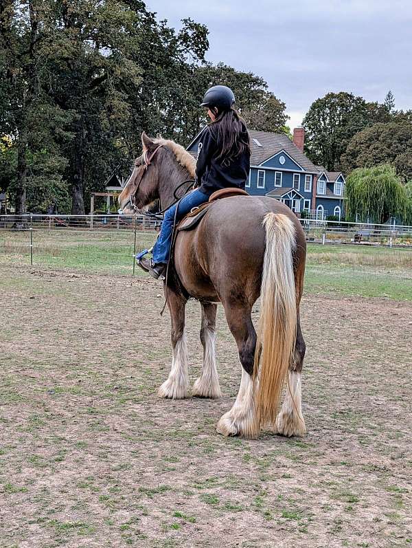 flaxen-mane-drum-horse