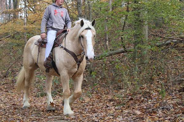 driving-draft-horse