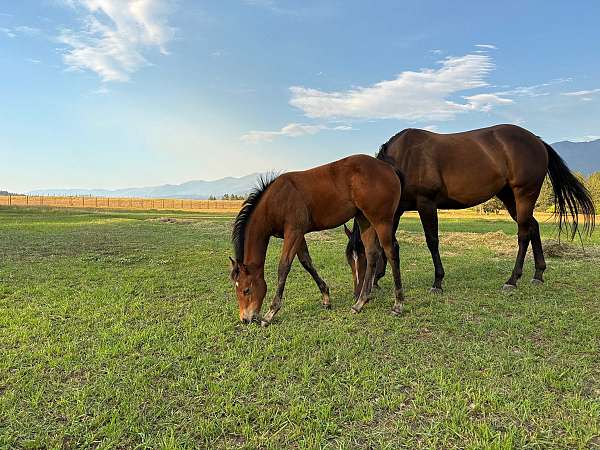 tuf-n-busy-filly