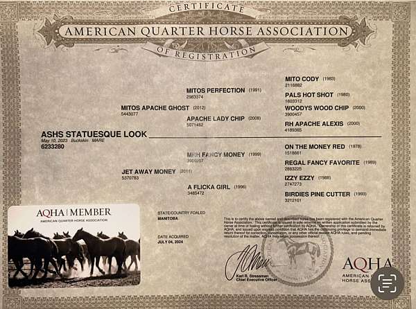 barrel-racing-quarter-horse