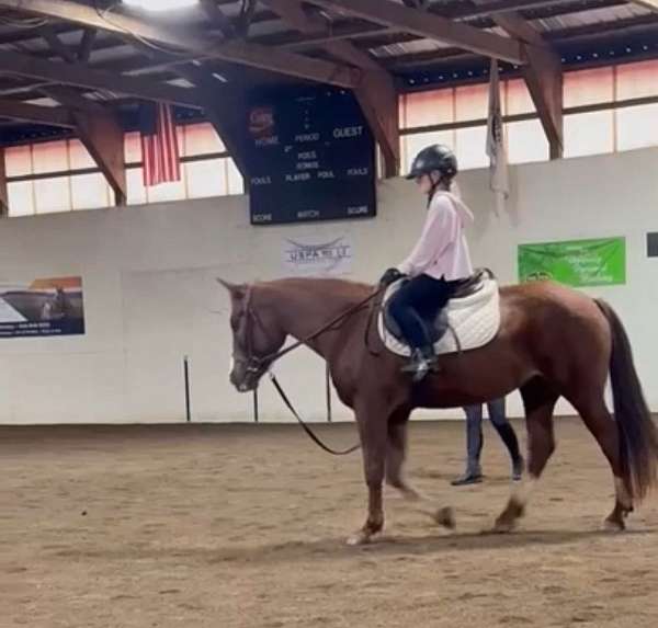 uncomplicated-pony