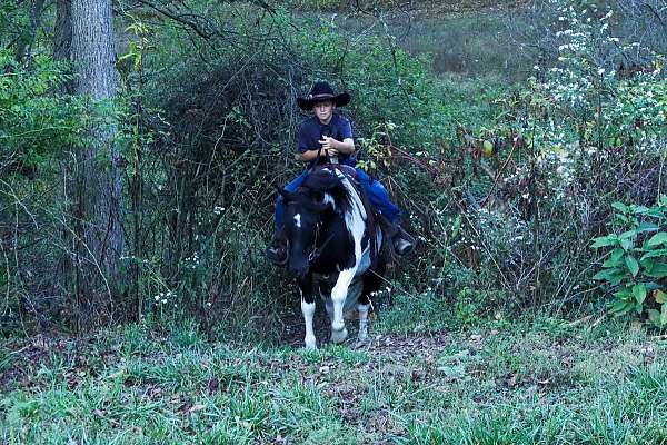 beginner-pony