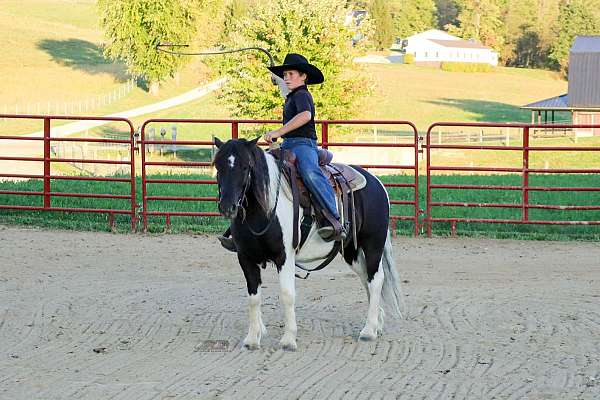 ridden-english-pony