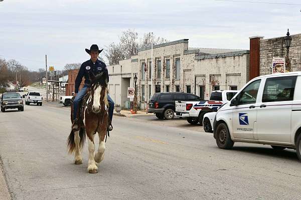 ranch-work-gypsy-vanner-horse