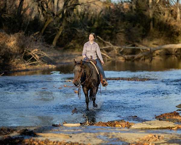 jumping-quarter-horse