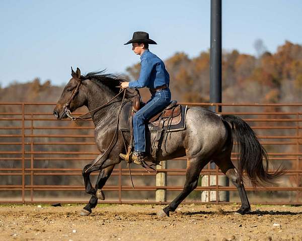 trail-riding-quarter-horse