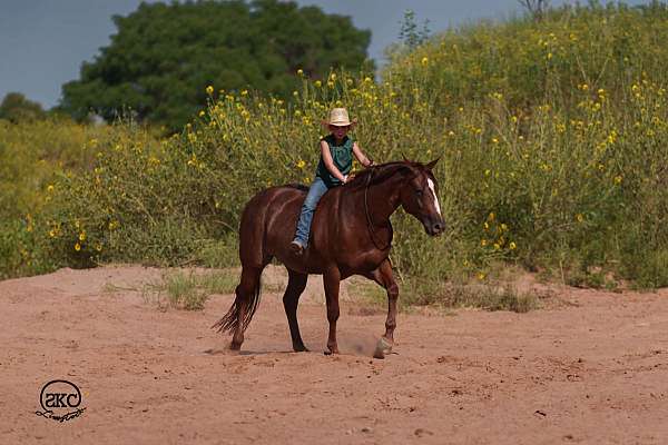 ranch-versatility-quarter-horse