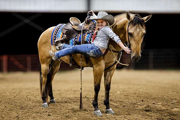 kid-safe-quarter-horse