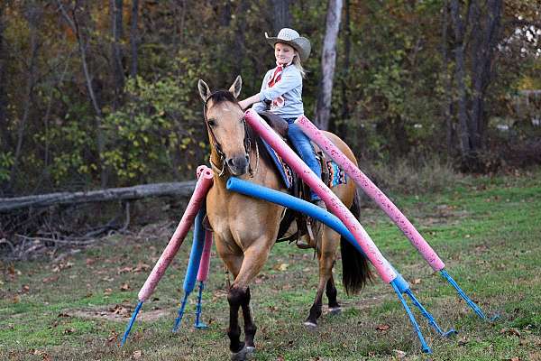 ranch-quarter-horse