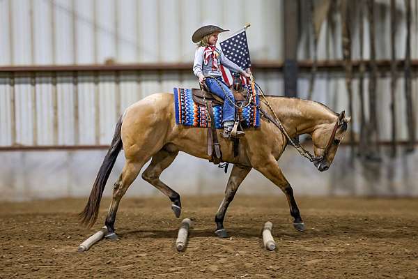 ranch-versatility-quarter-horse