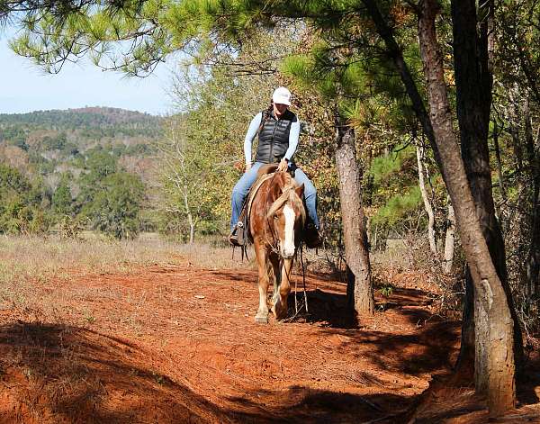 chestnut-blaze-horse