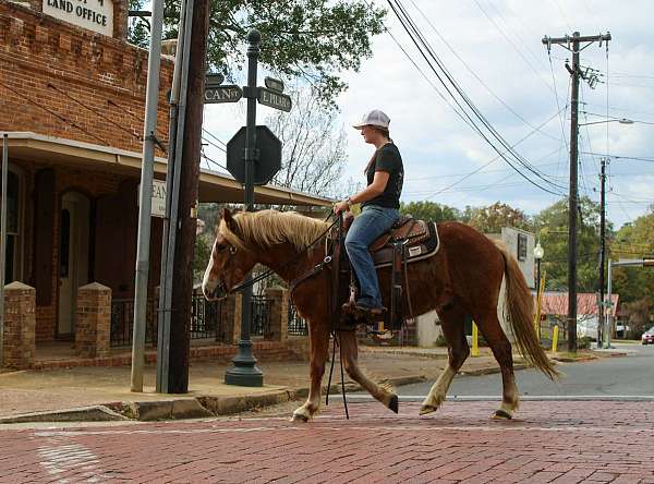 ranch-versatility-haflinger-horse