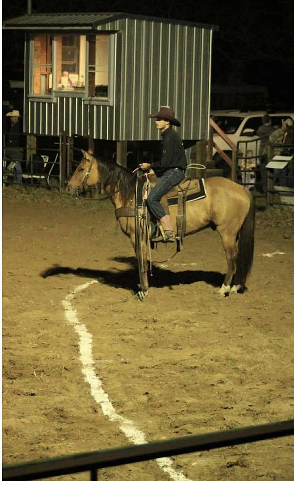 trail-quarter-horse